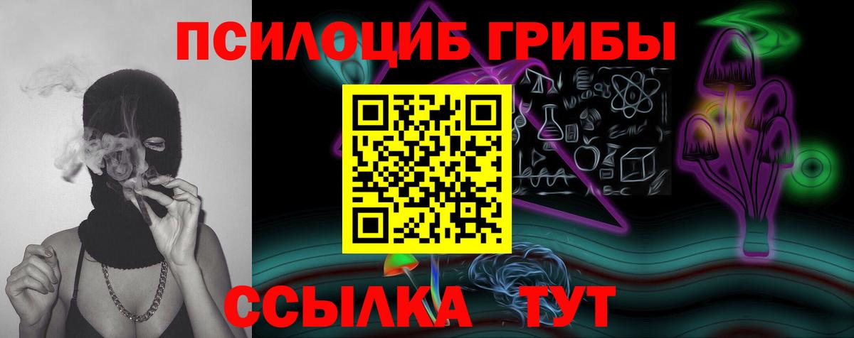 Феодосия  Галлюциногенные грибы Psilocybe  Псилоцибиновые грибы прущие грибы  Вход с VPN 